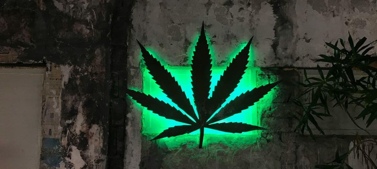 Operation Green Merchant's Legacy: Ein Wendepunkt im US-Cannabis-Krieg