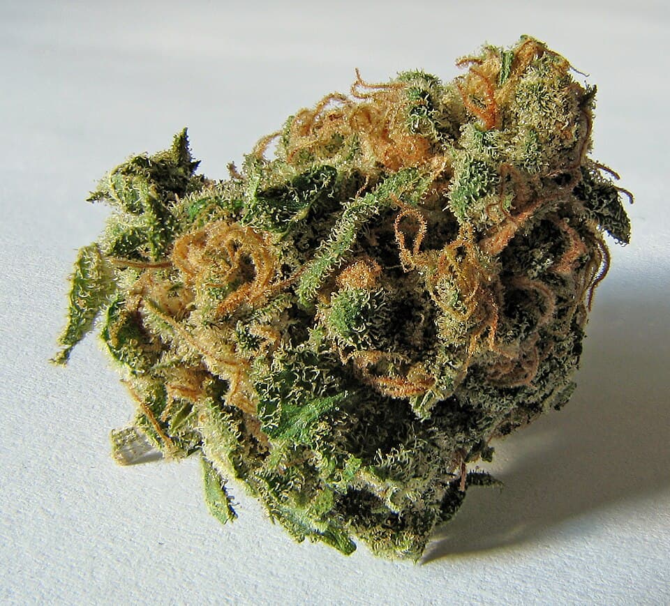 Zkittlez
