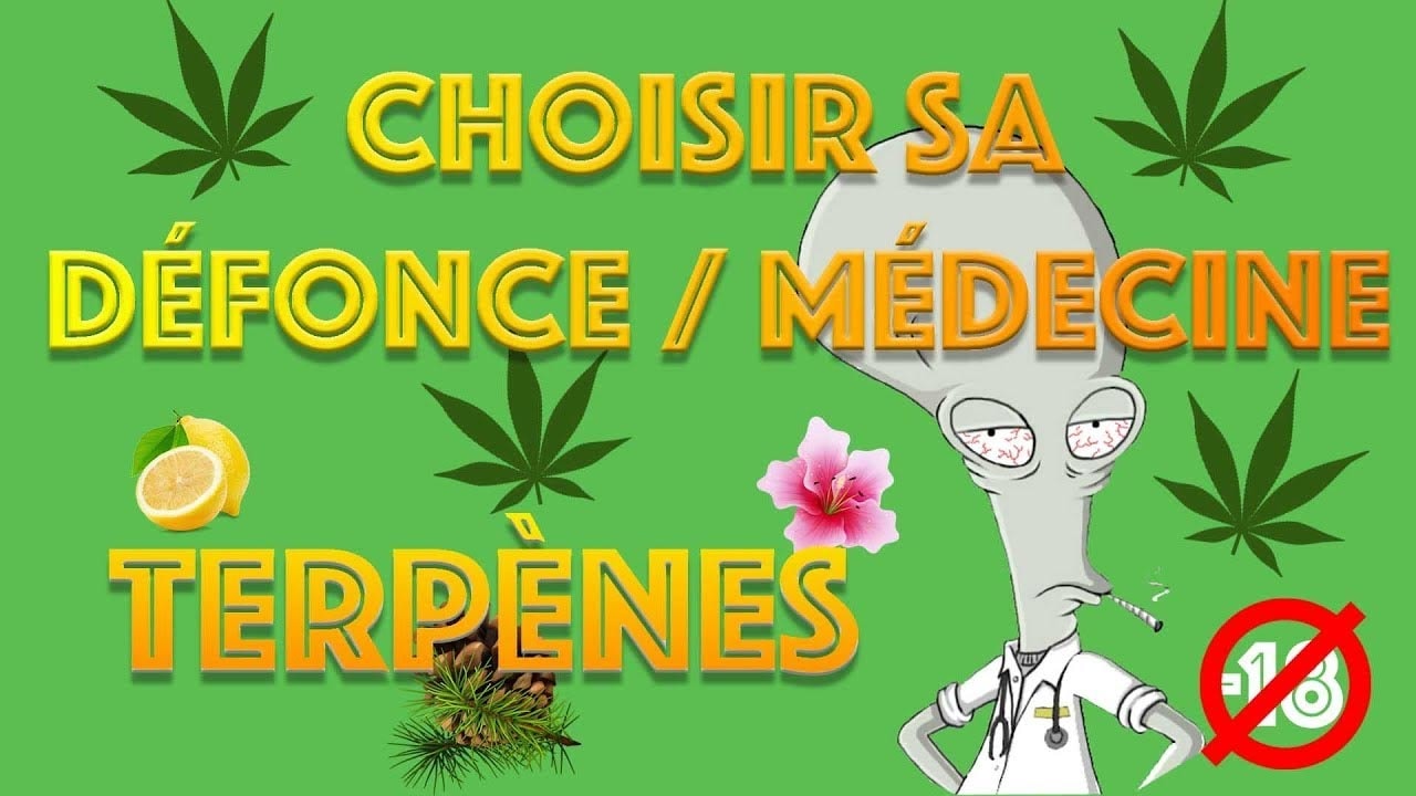 Dr GreenRoger สอนผู้ชมชาวฝรั่งเศสเกี่ยวกับเทอร์ปีนในกัญชา
