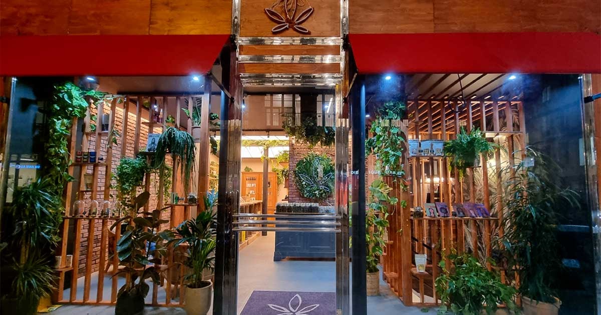 Gardenz расширяет присутствие в розничной продаже CBD с уникальной концепцией городского сада в Париже