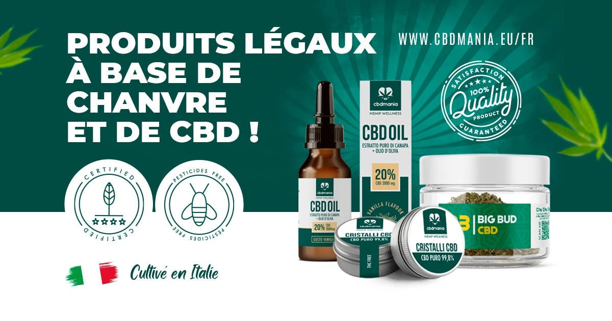 CBDMANIA становится лидером в индустрии CBD, акцентируя внимание на качестве и удовлетворенности клиентов