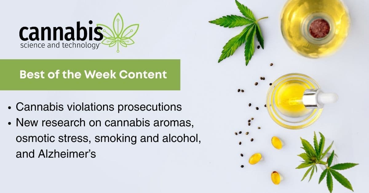 Каннабисовая индустрия сталкивается с новыми регуляторными вызовами и инновациями в исследованиях