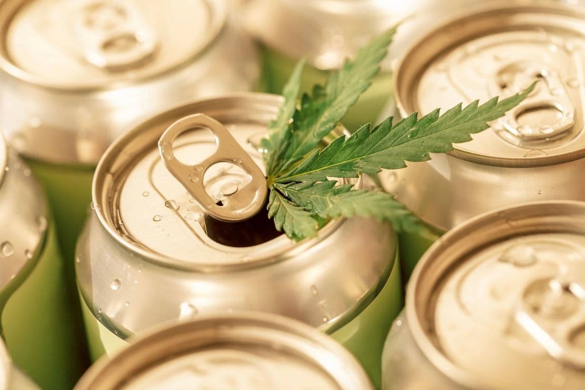 Hemp Beverage Alliance e BlueCheck migliorano la verifica dell'età per i prodotti a base di canapa