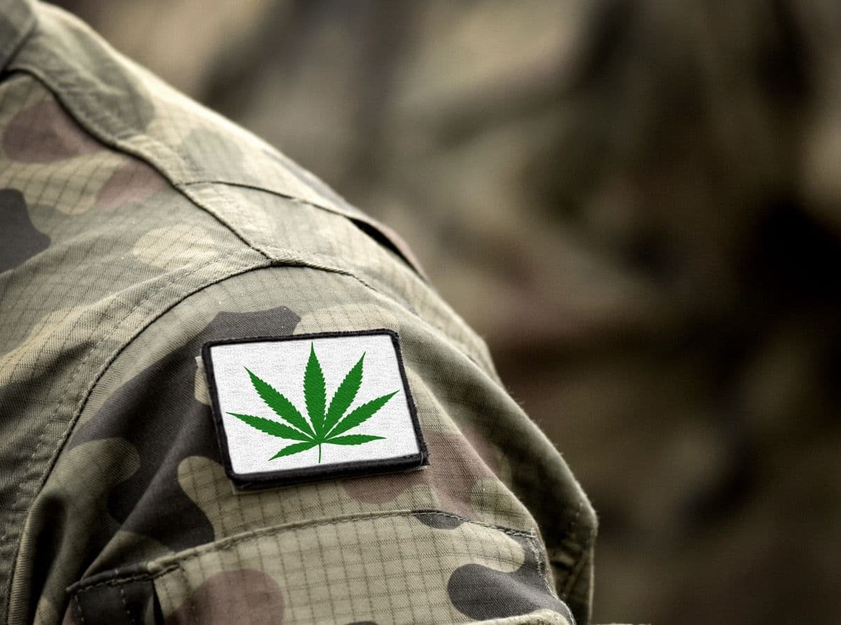 Veterans Group Urges Congress to Continue Hemp Research Amid Legislative Changes