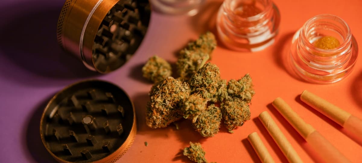 Cannabis Use Prompts Emotional Openness and Vulnerability in Everyday Life