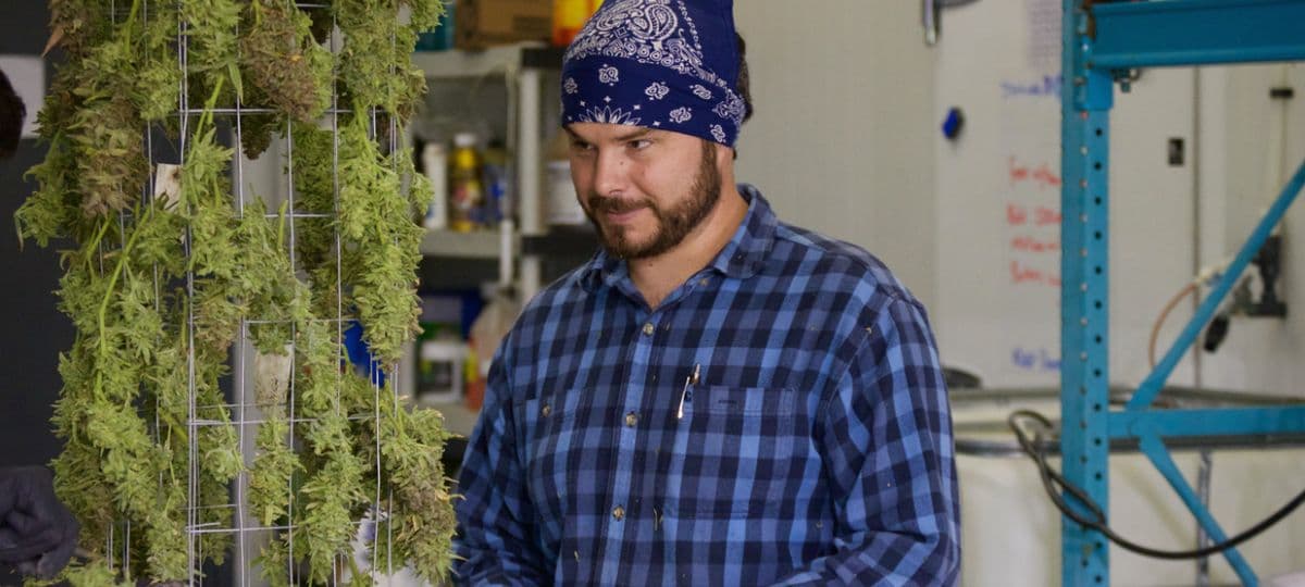 Die Reise eines Veterans: Vom Schlachtfeld zur Cannabis-Advocacy