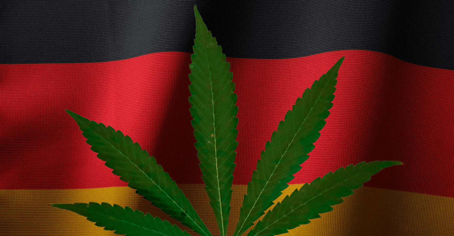 Germany's Cannabis Imports Hit Record High as Social Clubs Thrive