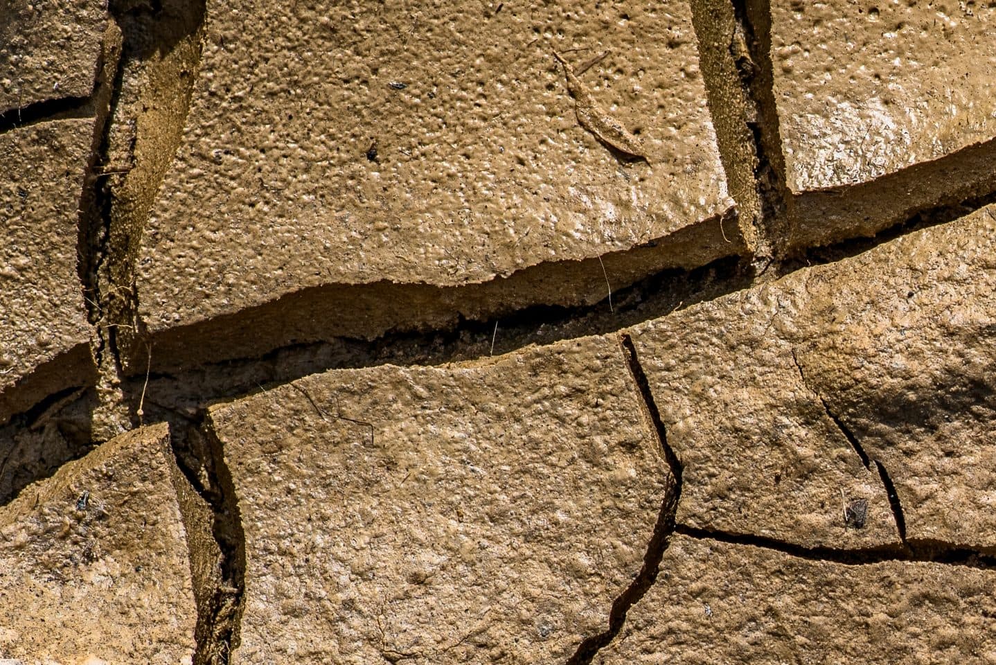 Los Angeles strebt an, den kämpfenden Cannabis-Markt trotz regulatorischer Herausforderungen zu revitalisieren