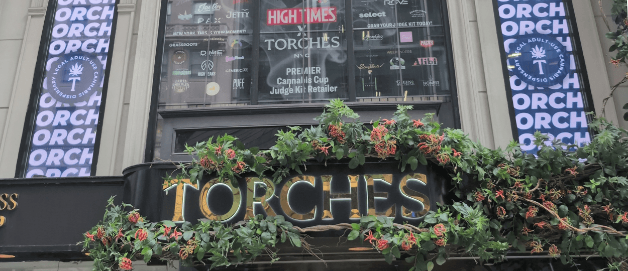 От наследия к легитимности: Torches освещает каннабис-сцену Нью-Йорка