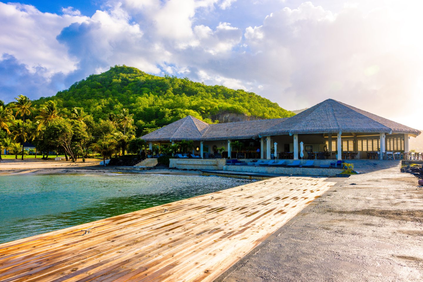 Роскошный психоделический опыт с DMTx запустится в Карибах