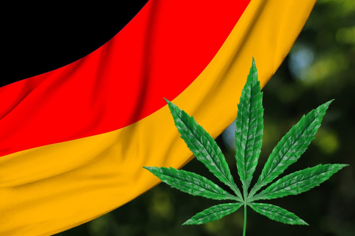 Germany's Medical Cannabis Prescriptions Surge as Prices Drop and Access Simplifies