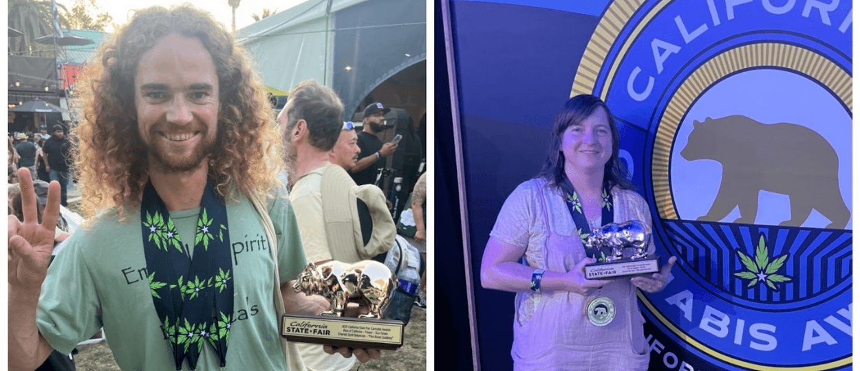 פרסי הקנאביס של קליפורניה מציגים תחרות גידול ביתי לשנת 2026