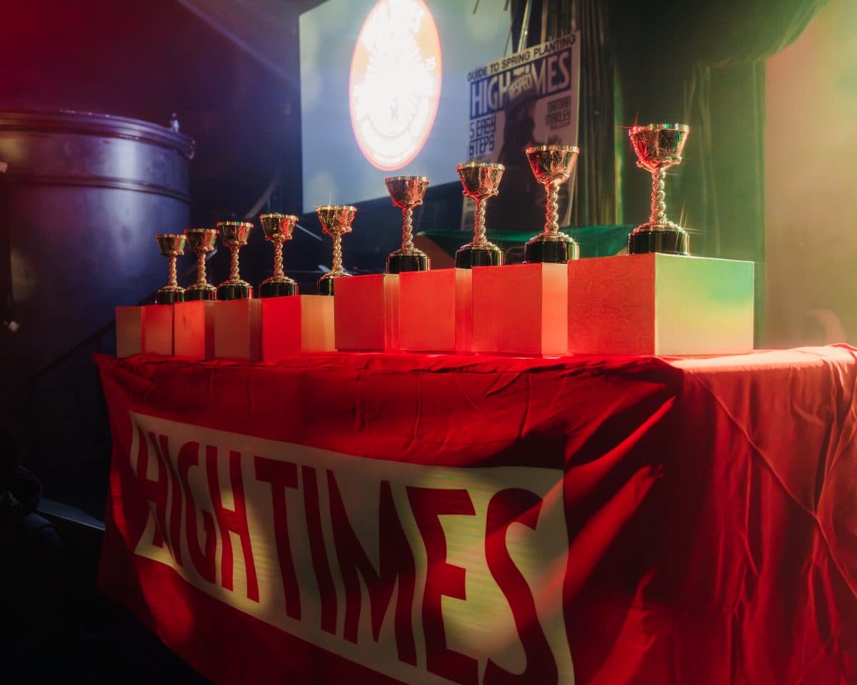 New York Cannabis Cup Celebrates Top Brands and Products in 2024