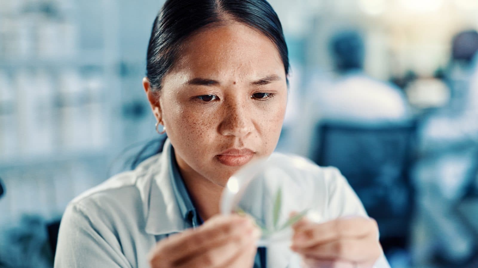 California Invests $80 Million in Comprehensive Cannabis Research