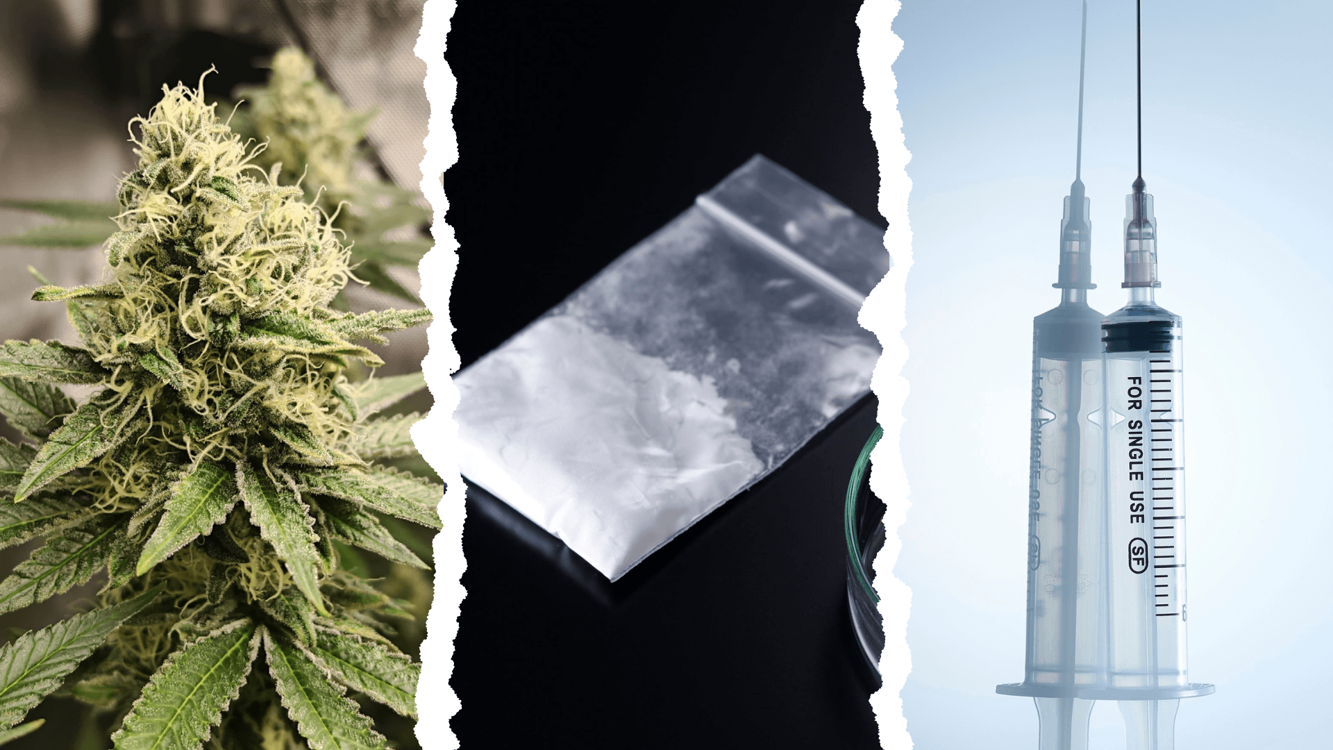 Colombian President Gustavo Petro Calls for Global Overhaul of Drug Policies at UN