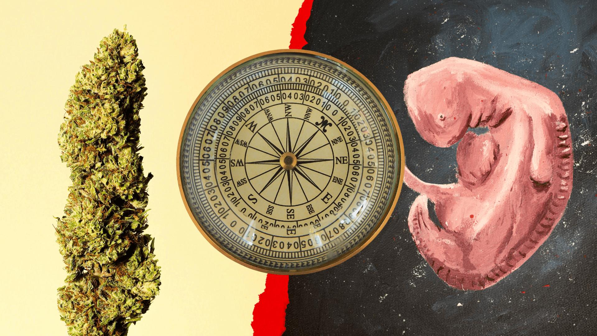 Pew Research Survey Finds Global Cannabis Stigma Exceeds Abortion and Homosexuality