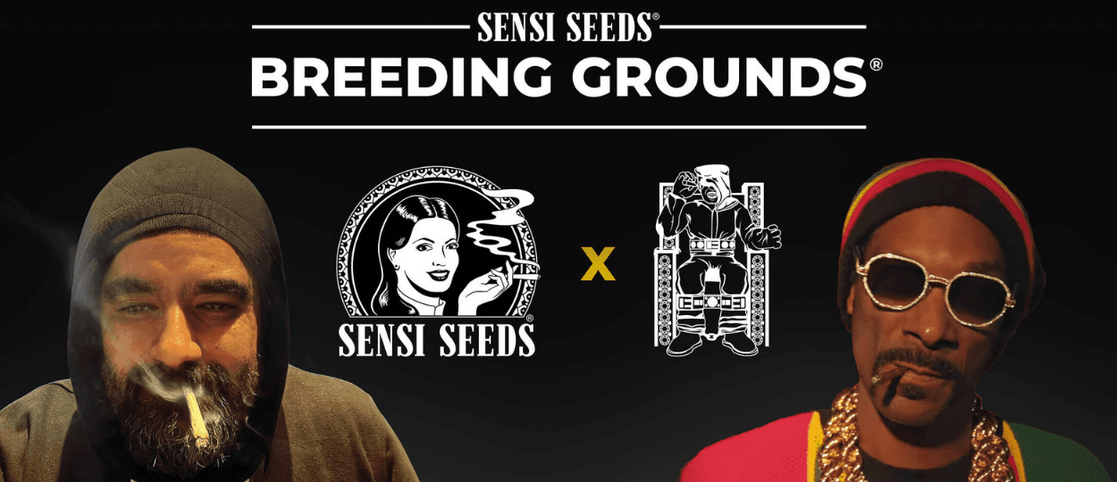 Snoop Dogg and Sensi Seeds Launch Death Row Cannabis Strains for U.S. Home Growers
