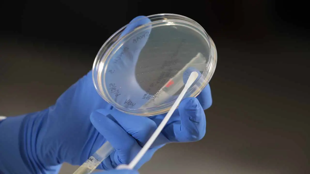 Les autorités du Massachusetts critiquent la supervision de la puissance du cannabis au milieu des préoccupations liées à l'inflation