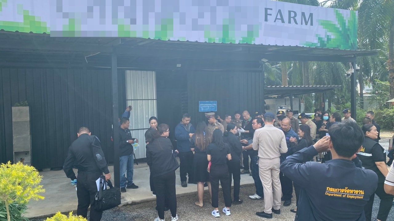 ผู้ว่าราชการจังหวัดกระบี่ระงับใบอนุญาตฟาร์มกัญชาเนื่องจากการละเมิดกฎหมาย