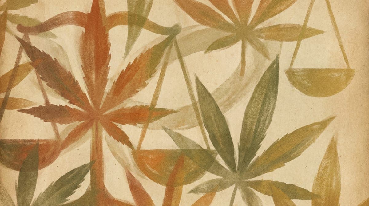 Каннабис и «новая трезвость»: почему индустрия откатывается от THC-гонки