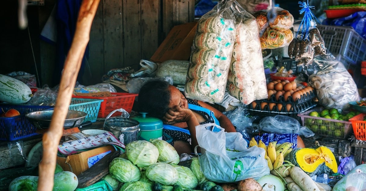 พบหนู Wandama ตัวน้อยเป็นมิตรที่ร้านของชำเกาะสมุย