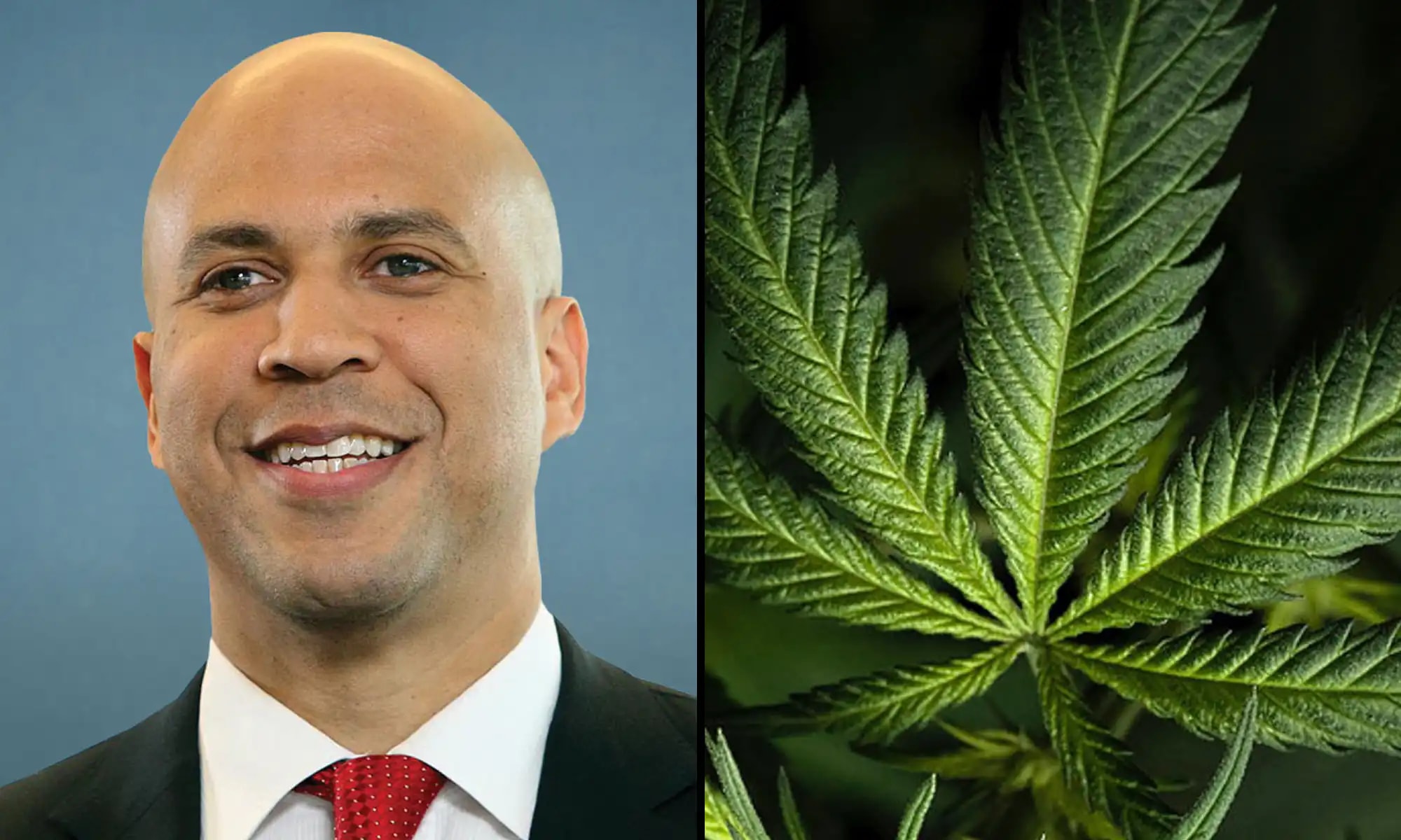 วุฒิสมาชิก Cory Booker เปรียบเฟรนช์ฟรายส์แมคโดนัลด์ติดมากกว่ายาเสพติดและผลักดันการปฏิรูปกัญชา