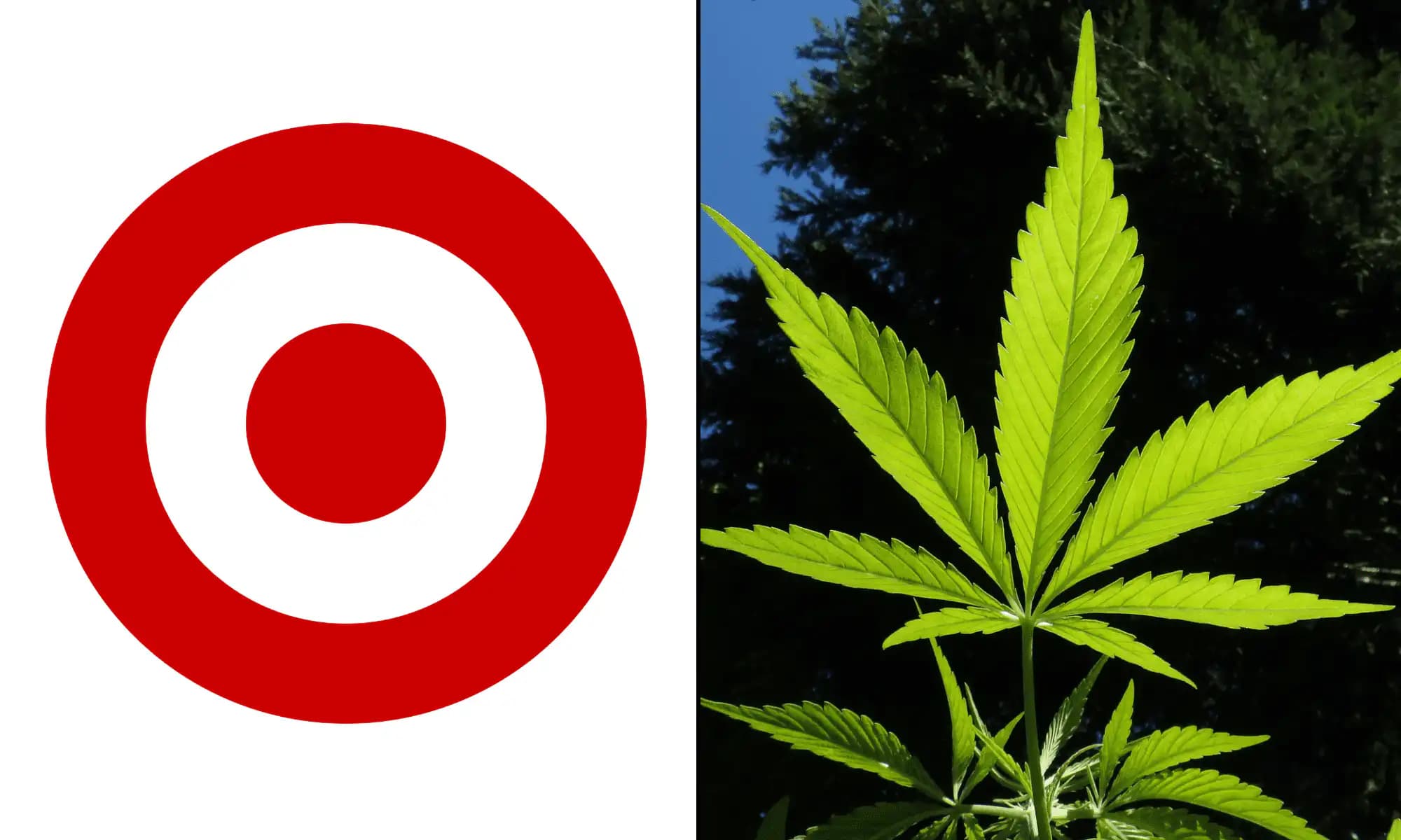 Target ขยายตลาดเครื่องดื่ม THC จากกัญชงในสหรัฐฯ สู่รัฐใหญ่ 3 แห่ง