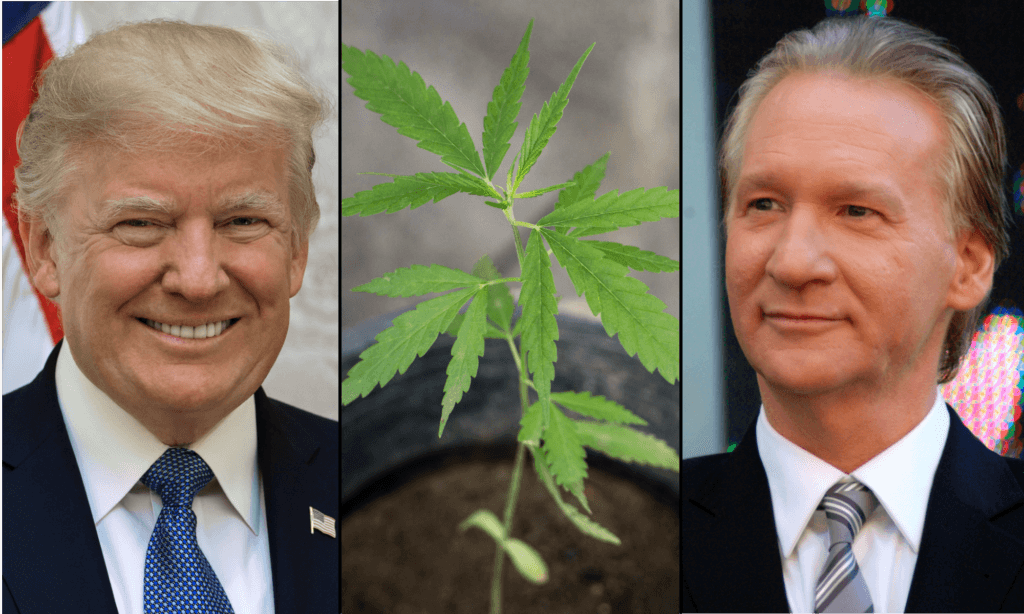 Trump Criticizes Bill Maher Over Cannabis Use and Calls Marijuana 'Very Bad' for Health
