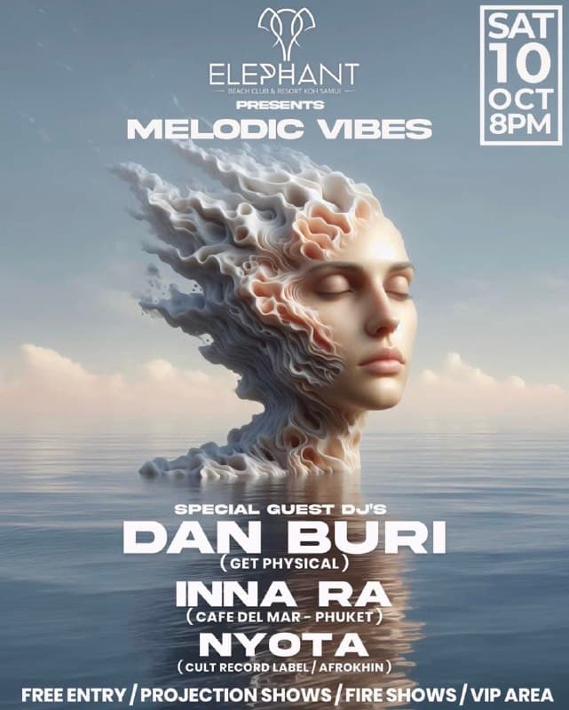 Вечеринка Melodic Vibes с огненными шоу в Elephant Beach Club
