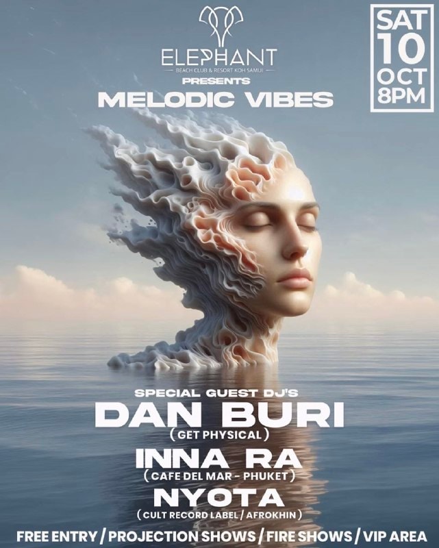 ปาร์ตี้ Melodic Vibes พร้อมโชว์ไฟที่ Elephant Beach Club