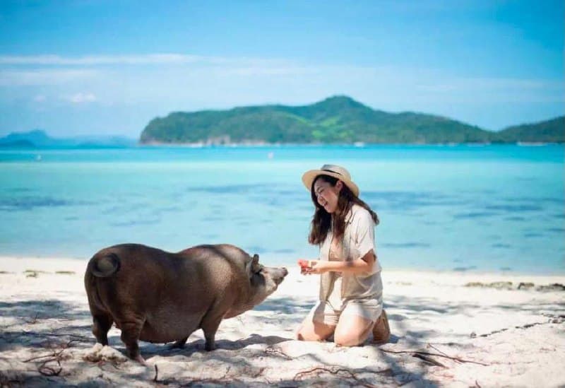 เกาะมัตสึม หมูเกาะใกล้เกาะสมุย มอบประสบการณ์เกาะที่ไม่เหมือนใคร