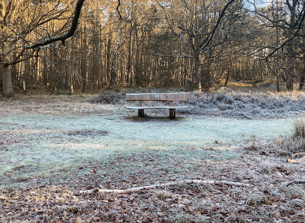 Previsioni di Tempo Freddo nei Paesi Bassi, Natale Bianco Improbabile