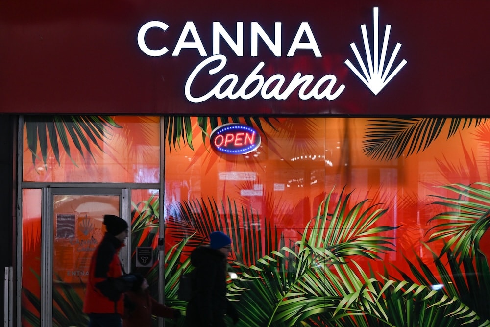 Aumento del Traffico di Cannabis Canadese in Europa a Causa dell'Eccesso di Offerta