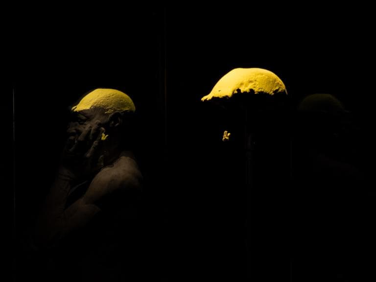 Les Pays-Bas restituent des fossiles significatifs d'Homo Erectus à l'Indonésie