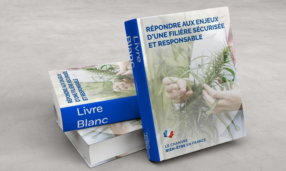 SPC veröffentlicht Weißbuch zur Förderung des Hanf-Wellness-Sektors in Frankreich