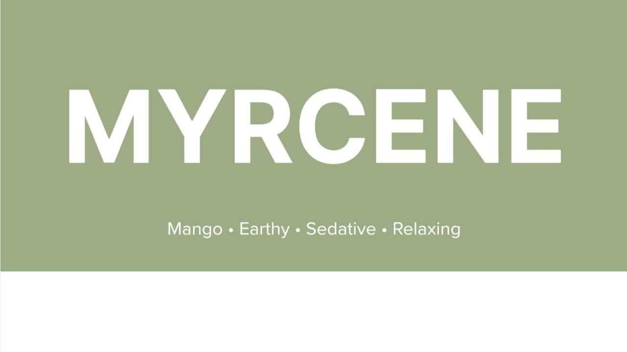 What is Myrcene?