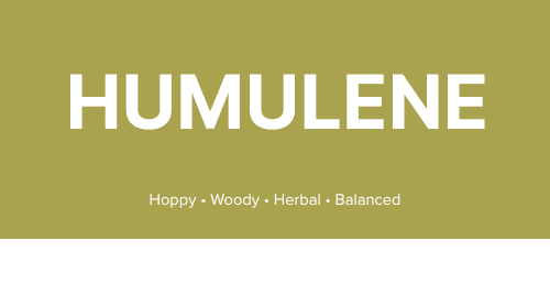 What is Humulene?