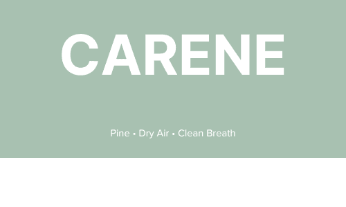 What is Ξ΄-3-Carene?