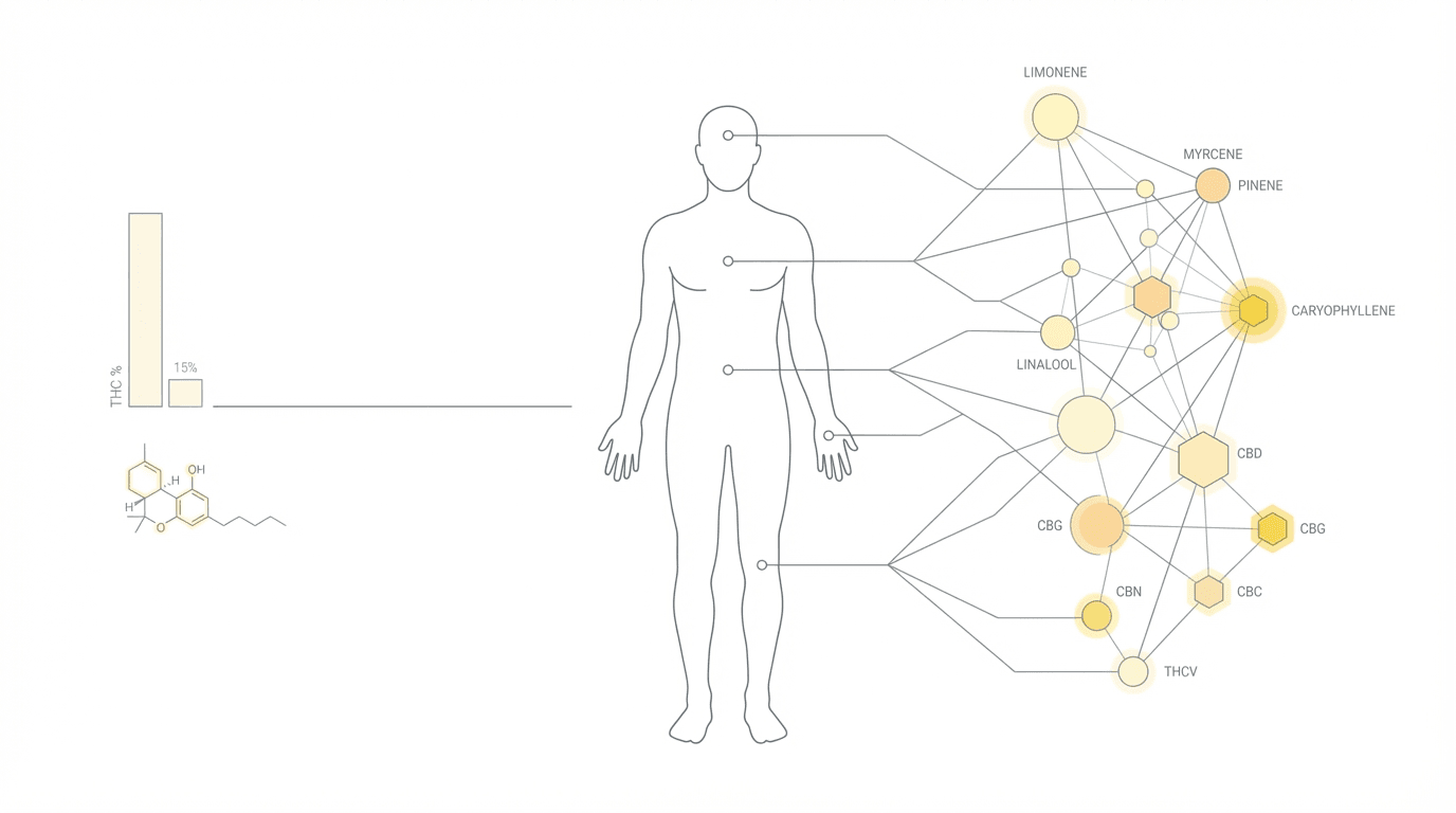 Why strain matters more than THC percentage