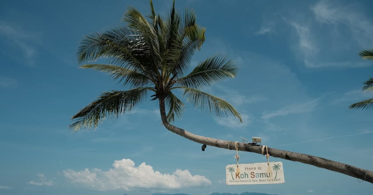 Samui Weather Update Brings Mild Showers and Cool Breezes