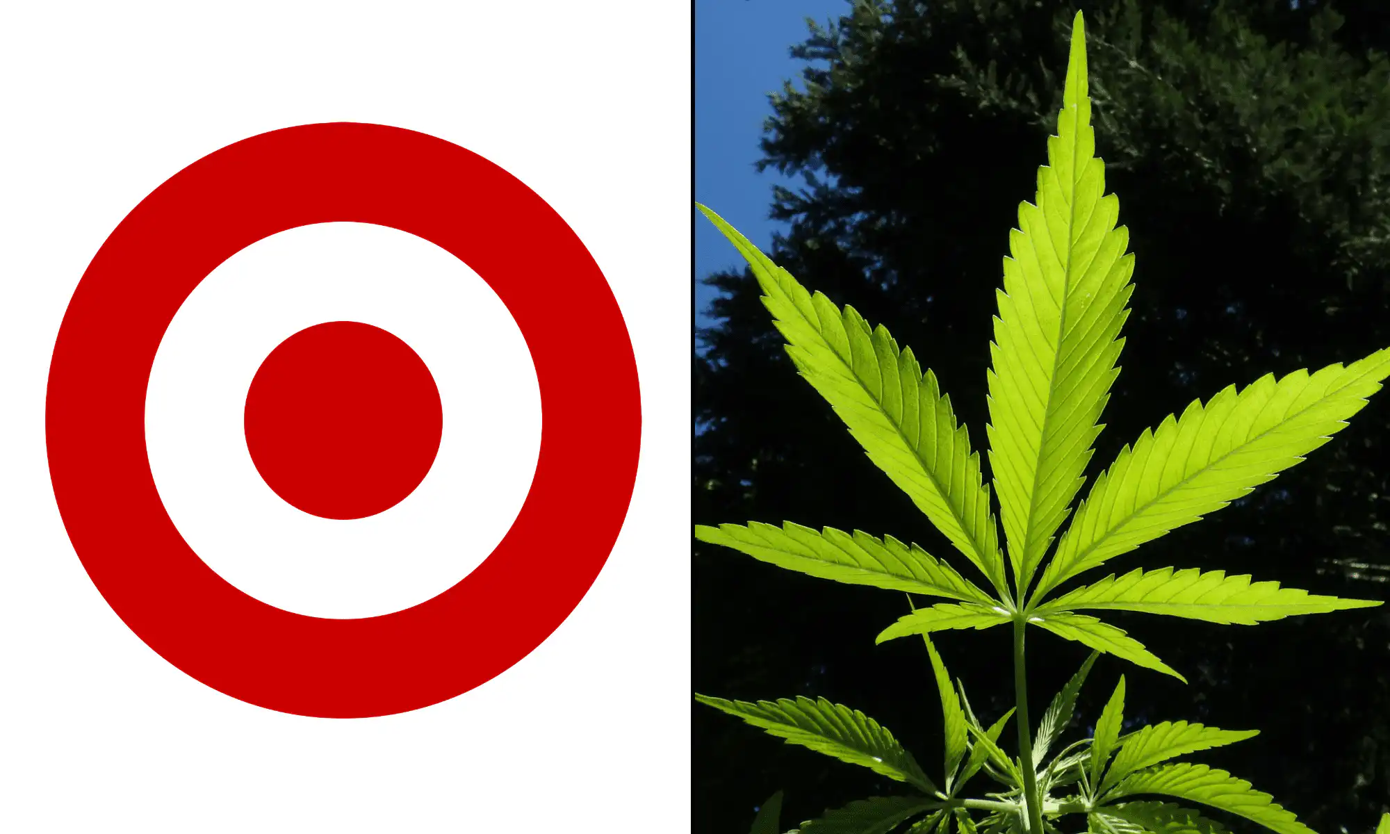 Target Secures 72 Licenses to Expand Hemp-Derived THC Beverage Sales in Minnesota