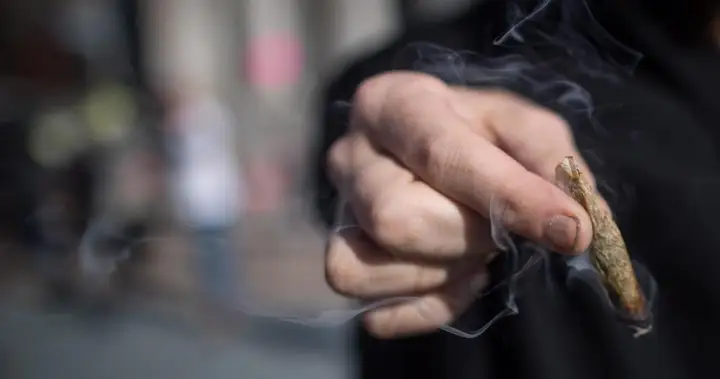 La consommation de cannabis au Québec diminue, forte baisse chez les jeunes