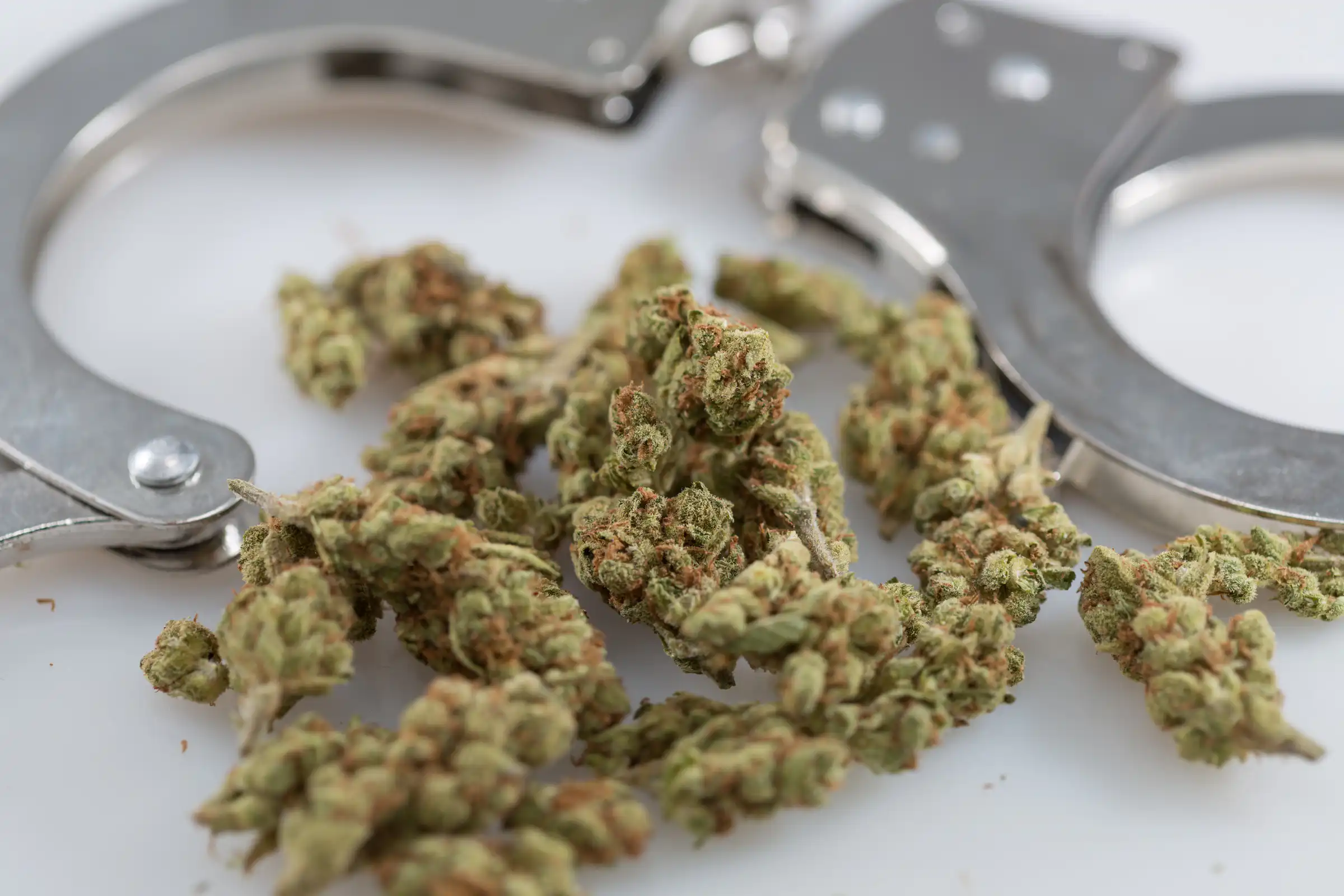 Marijuana Arrests Plummet Nationwide as Legalization Expands, Report Finds