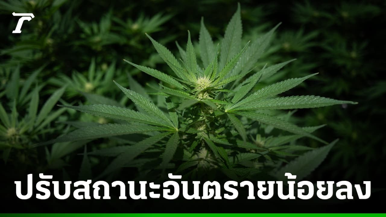 US Justice Department Reclassifies Cannabis, Easing Federal Restrictions