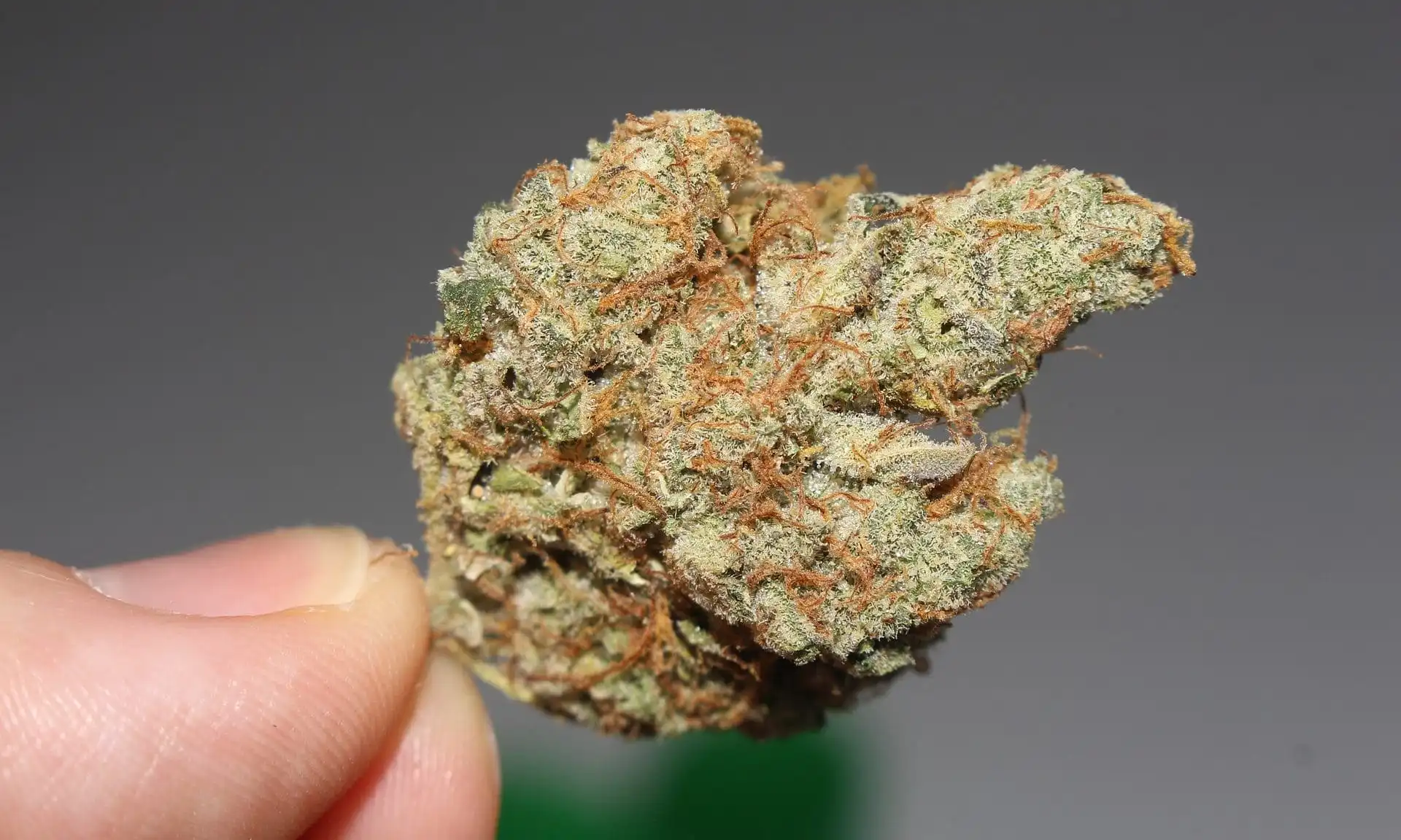 Louisiana Senate Approves Bill Allowing Terminal Patients to Use Medical Marijuana in Hospitals