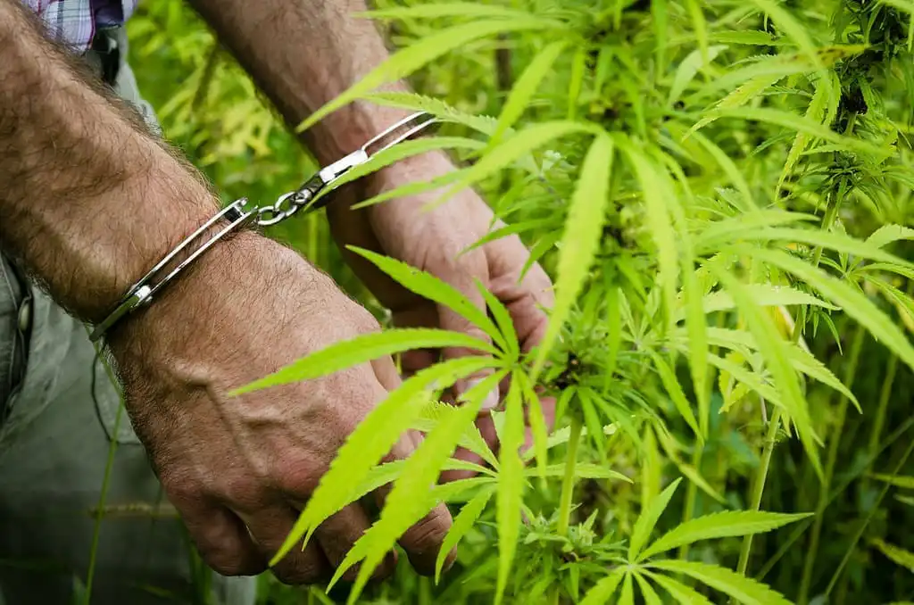 Louisiana House Approves Bill Criminalizing Marijuana Use Near College Campuses