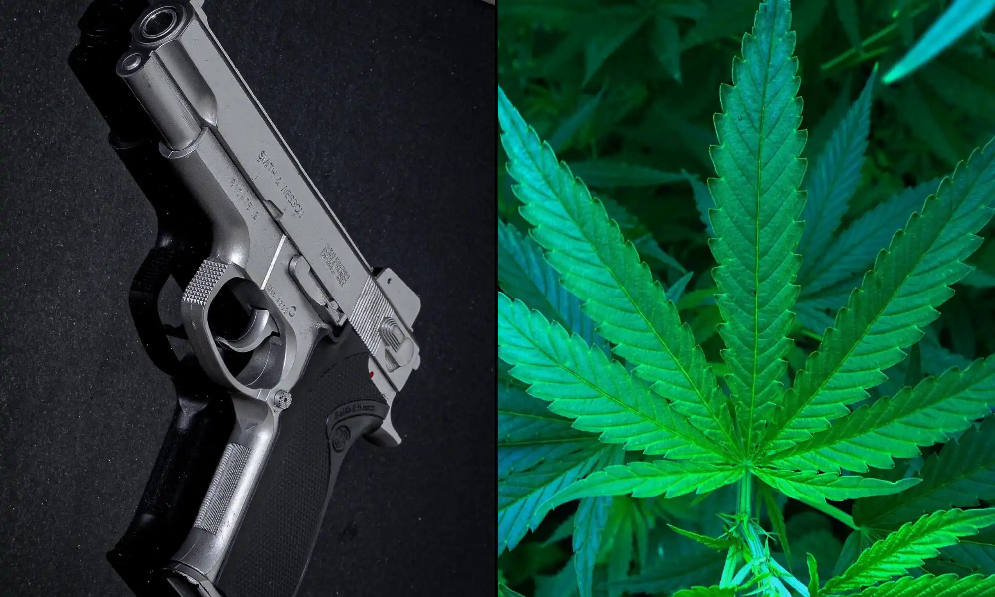 ATF Updates Gun Purchase Form to Reflect Medical Marijuana’s New Federal Status
