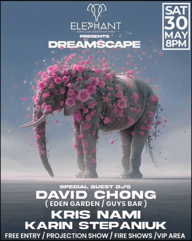 Dreamscape Brings Electronic Beats to Elephant Beach Club