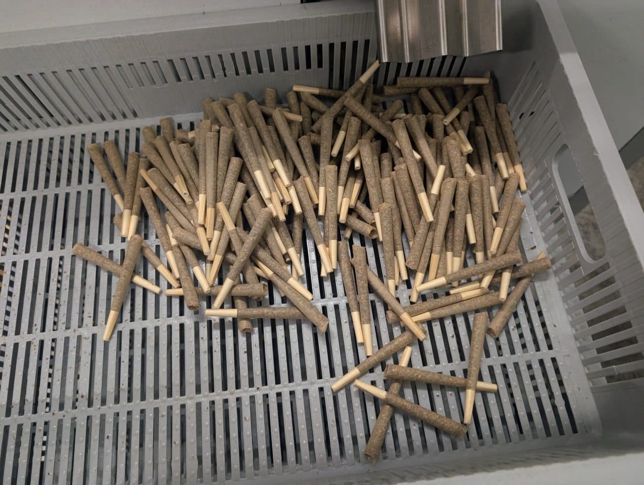 Pre-Rolls Transform Global Cannabis Markets from Craft Ritual to Industrial Standard