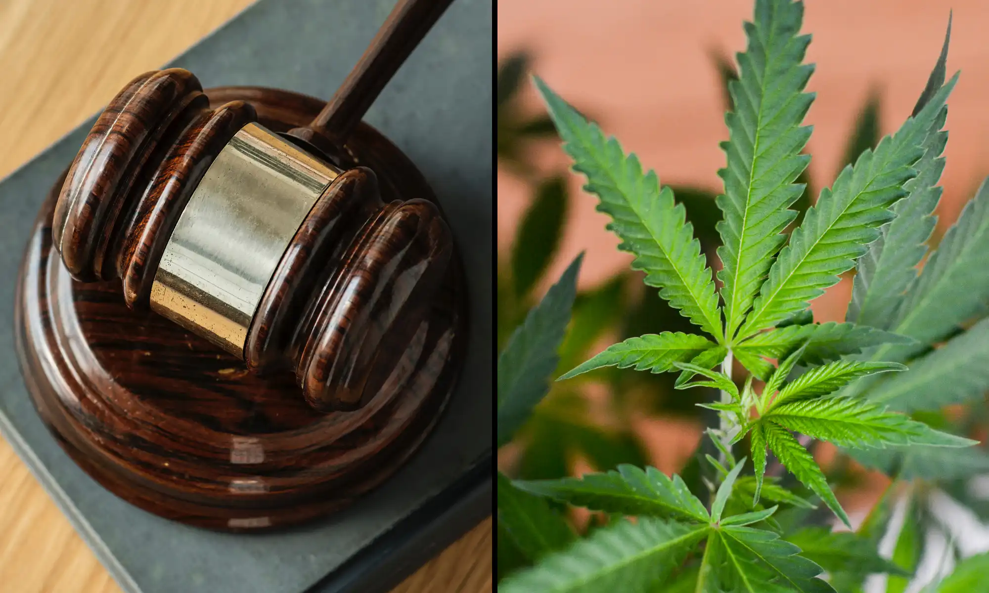 Massachusetts Supreme Court Reviews Ballot Initiative That Could End Recreational Cannabis